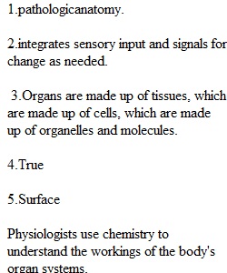 Quiz 2